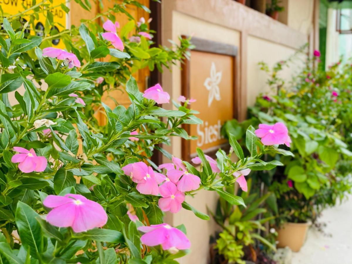 Siesta Beach Hotel Maafushi Exterior photo